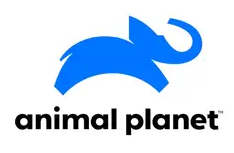 How to Design the Right Logo for Your Business 5 logo sample3