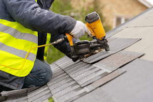 Lionshead Digital Agency - Achieve Market Dominance 16 roofer